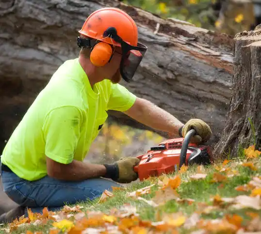 tree services Fort Salonga